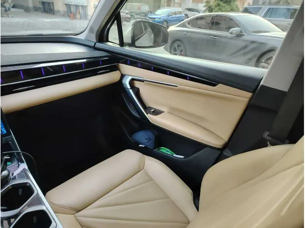 Car image 31