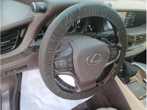 Car image 19