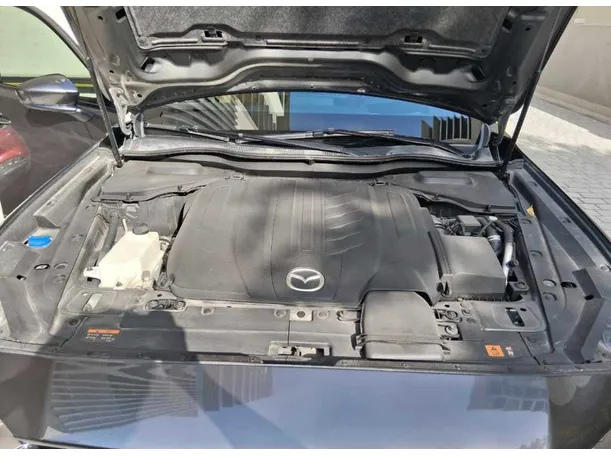 Car image 20