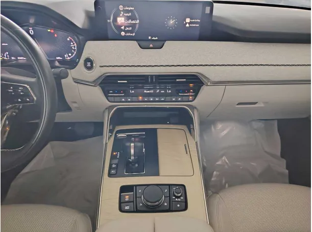Car image 24