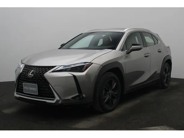 2023 Lexus UX200 in Dubai