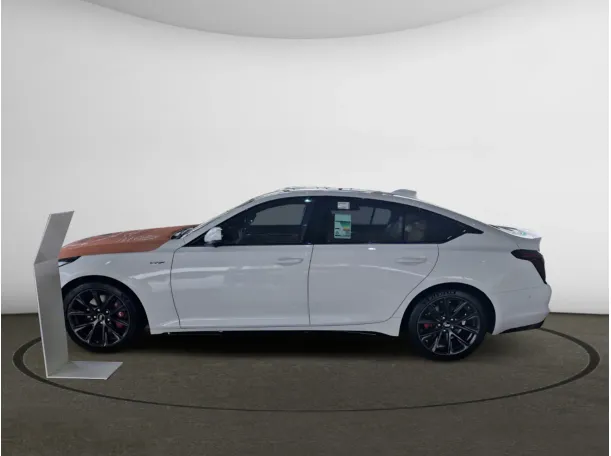 Car image 5
