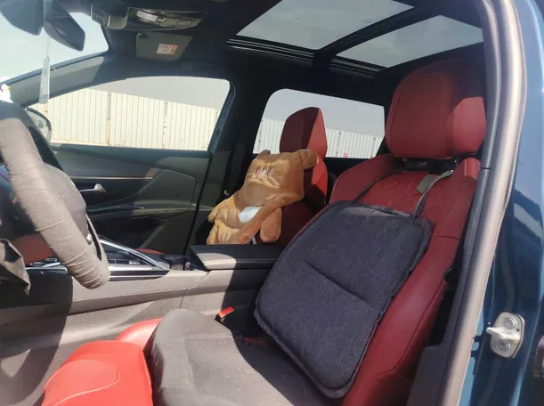 Car image 12
