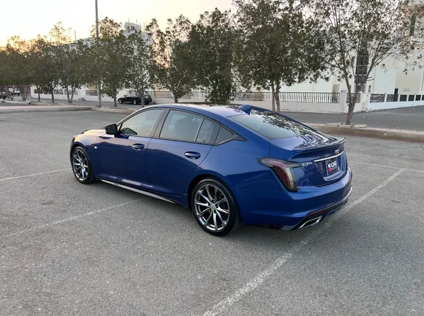 Car image 7