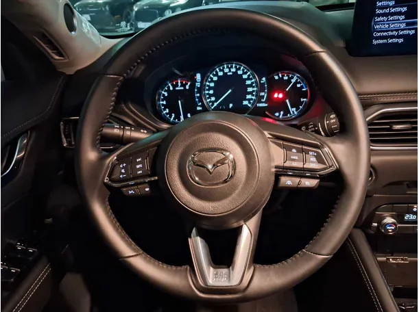 Car image 14