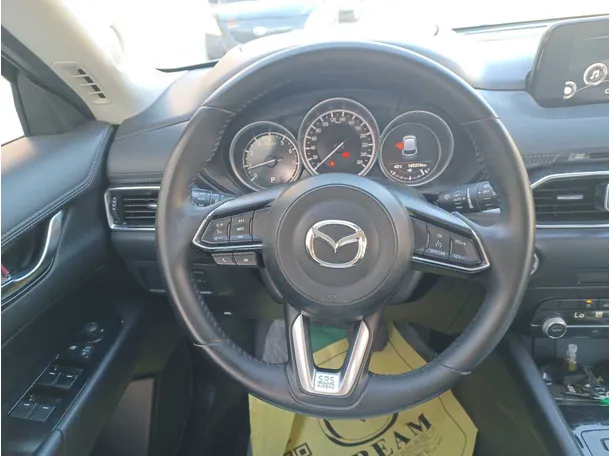 Car image 16