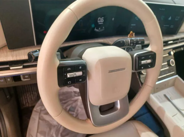 Car image 19