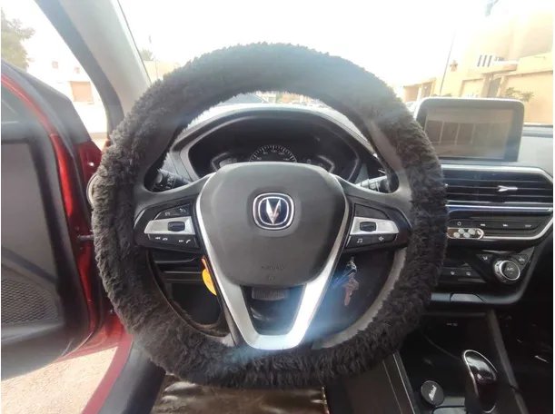 Car image 22