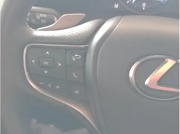 Car image 33