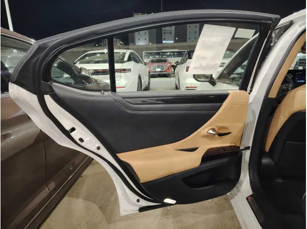 Car image 20