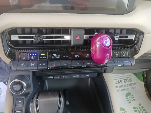 Car image 24