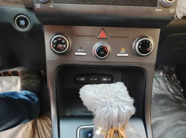Car image 25