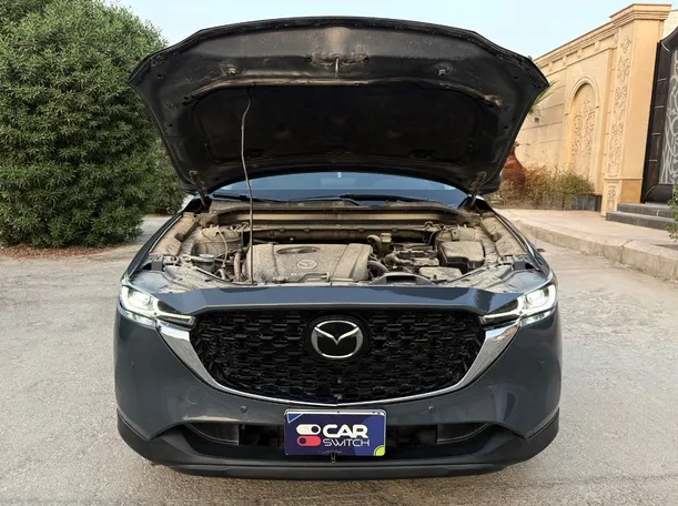 Car image 29