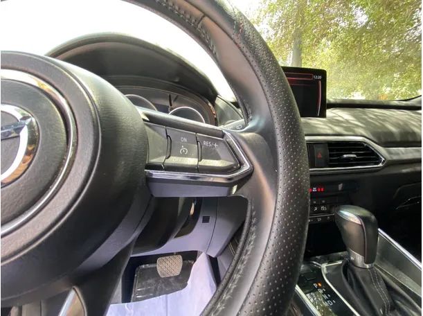 Car image 20