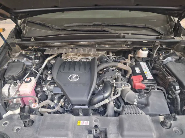 Car image 19