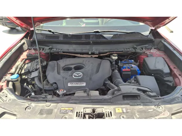 Car image 19