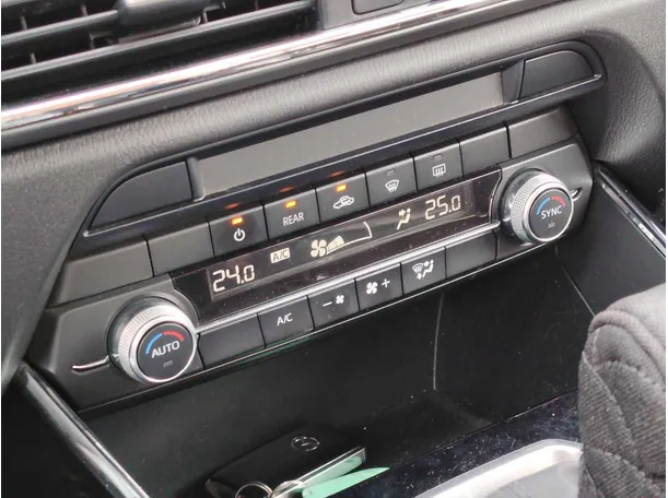 Car image 29