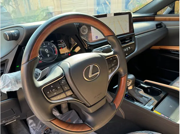 Car image 19