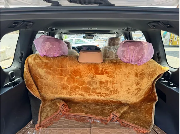 Car image 25