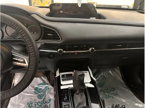 Car image 19