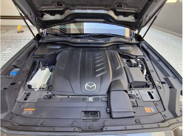 Car image 23
