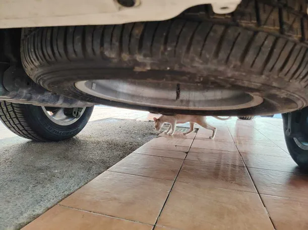 Car image 46