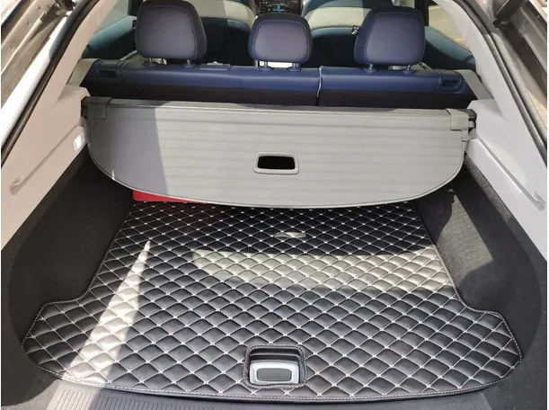 Car image 31
