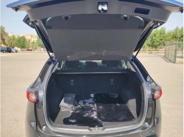 Car image 24