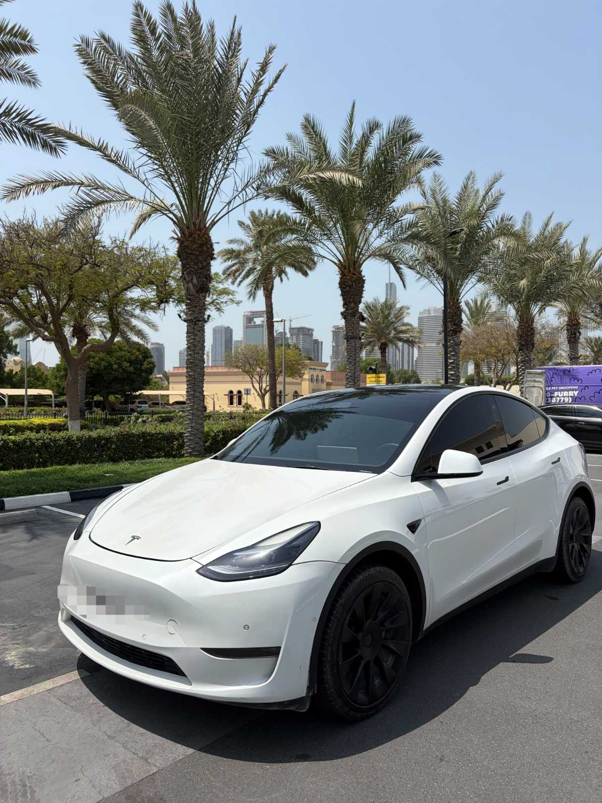 Tesla Model Y Long Range Dual Motor AWD 2022 null