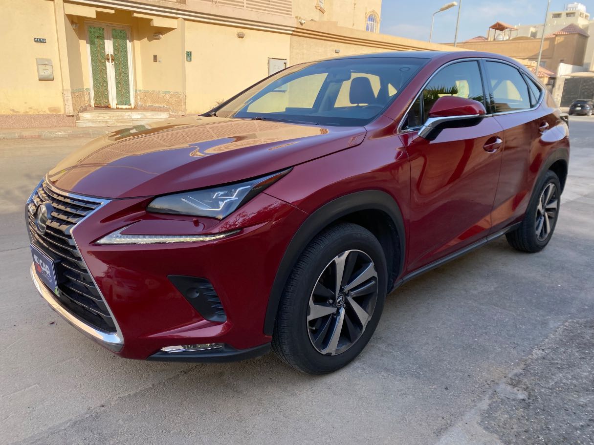 2019 Lexus NX300 PLATINUM