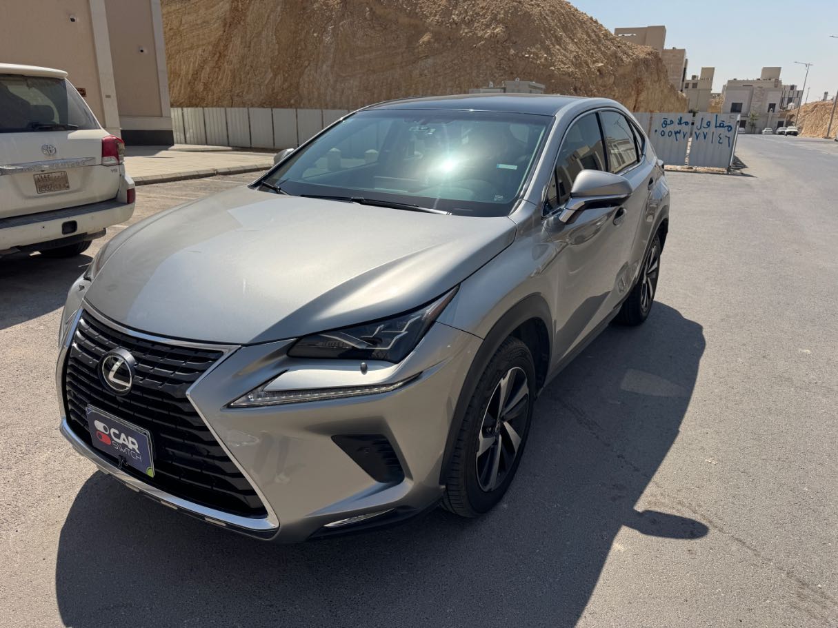 2019 Lexus NX300 PLATINUM