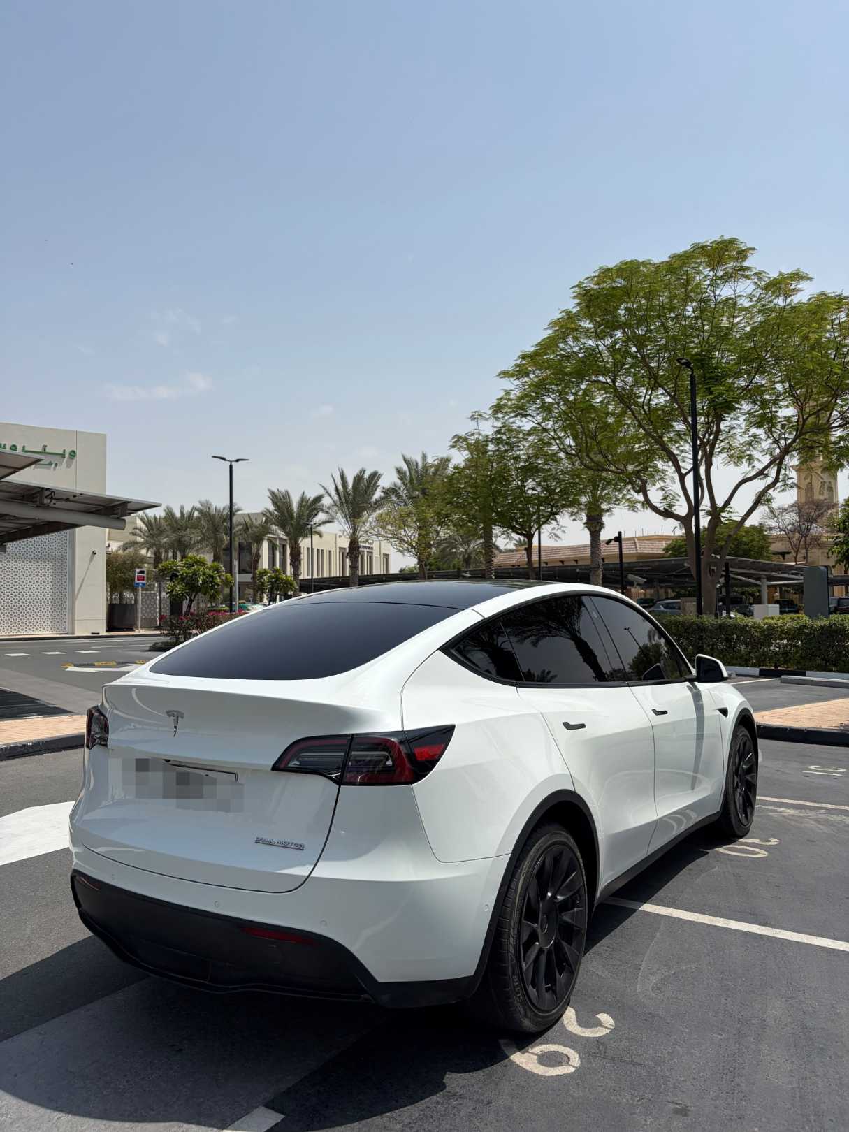 Tesla Model Y Long Range Dual Motor AWD, миниатюра 5