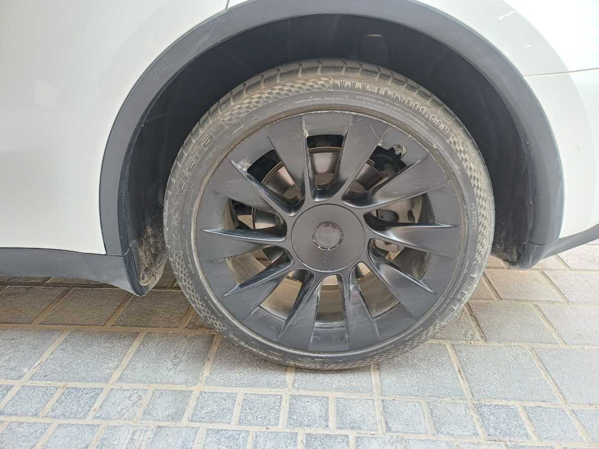 Tesla Model Y Long Range Dual Motor AWD, миниатюра 9