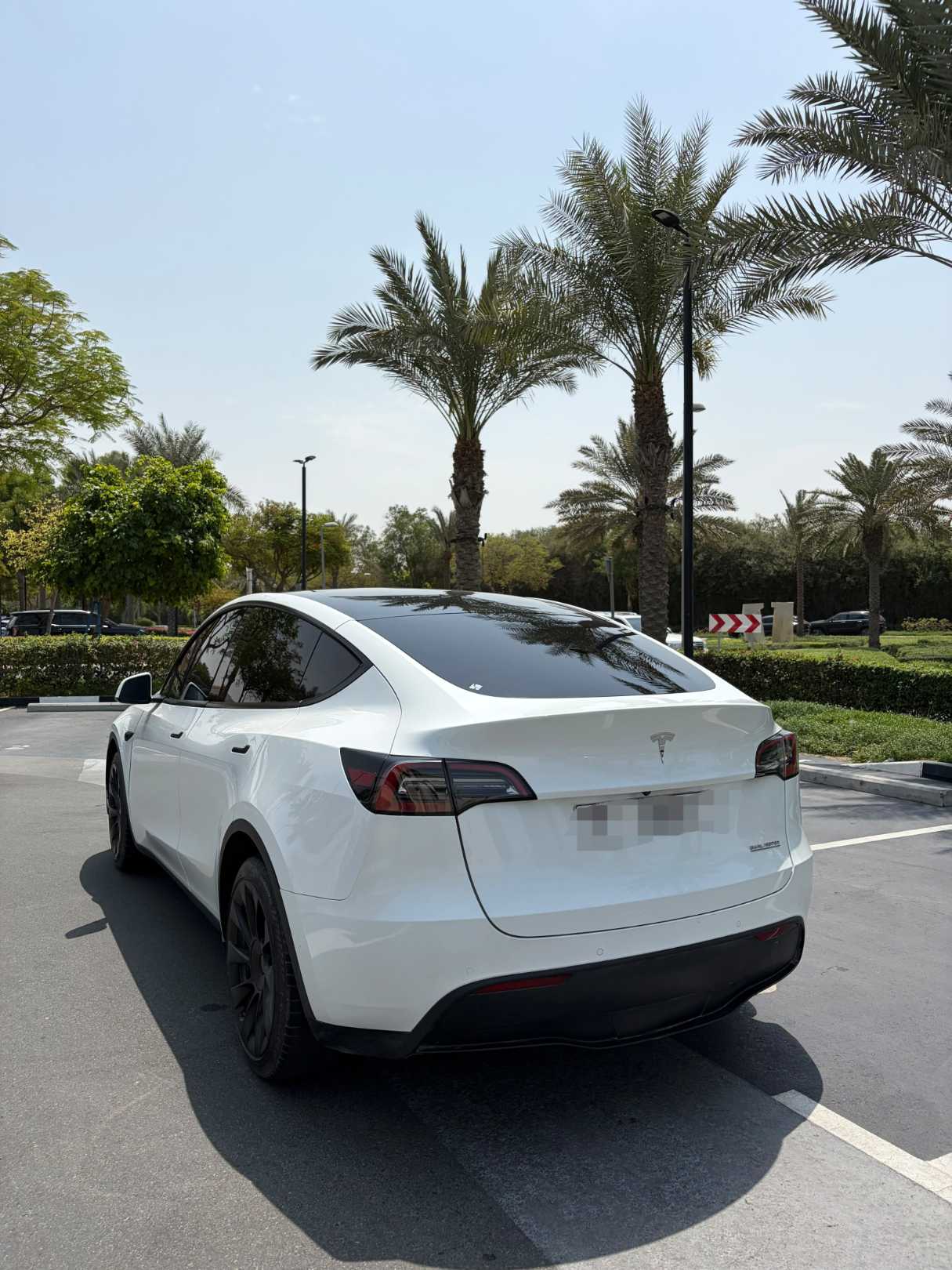Tesla Model Y Long Range Dual Motor AWD, миниатюра 7