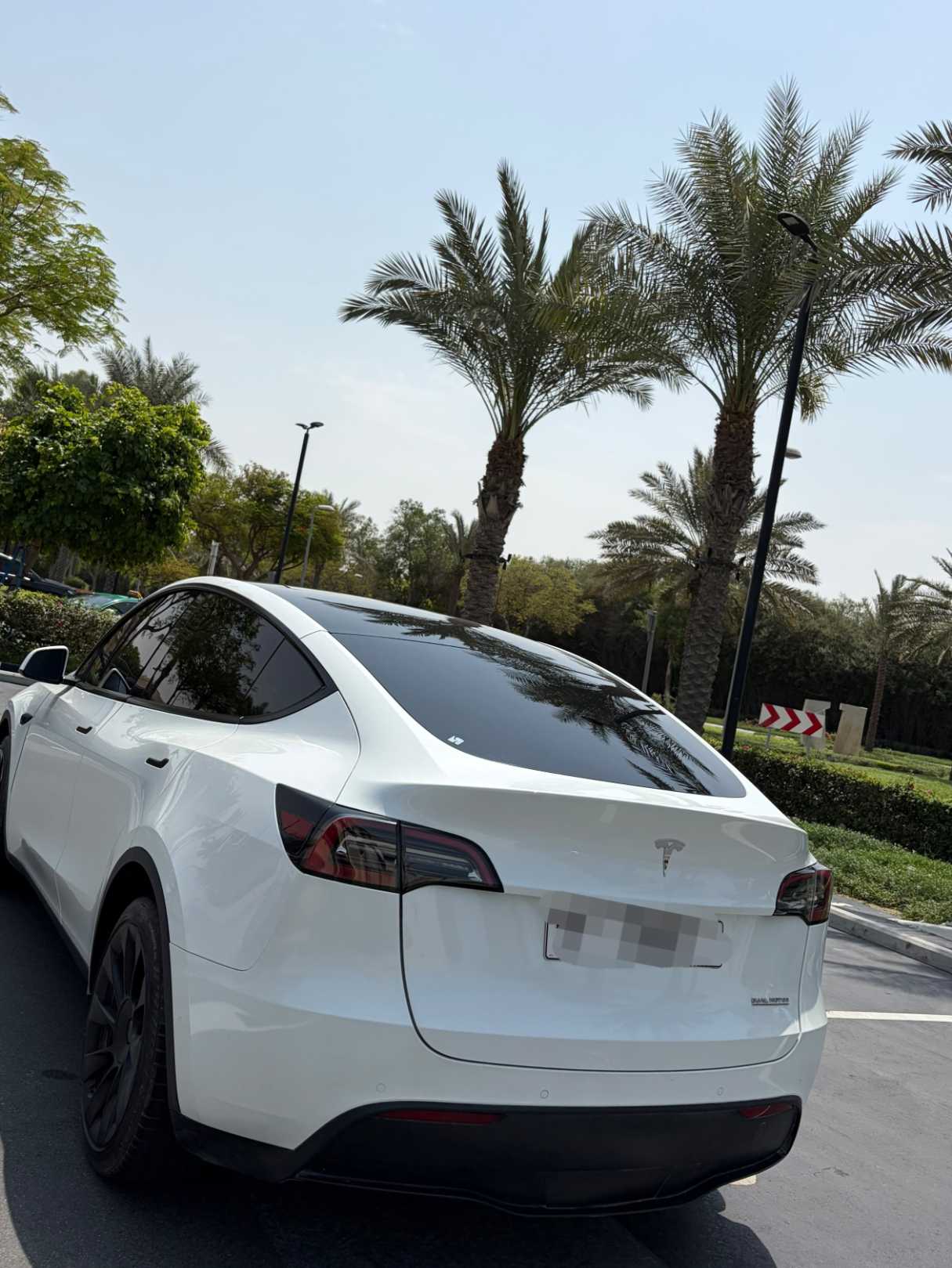 Tesla Model Y Long Range Dual Motor AWD, миниатюра 6
