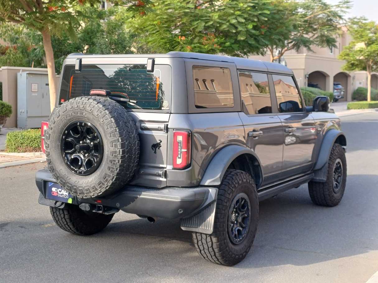 Ford Bronco, миниатюра 5